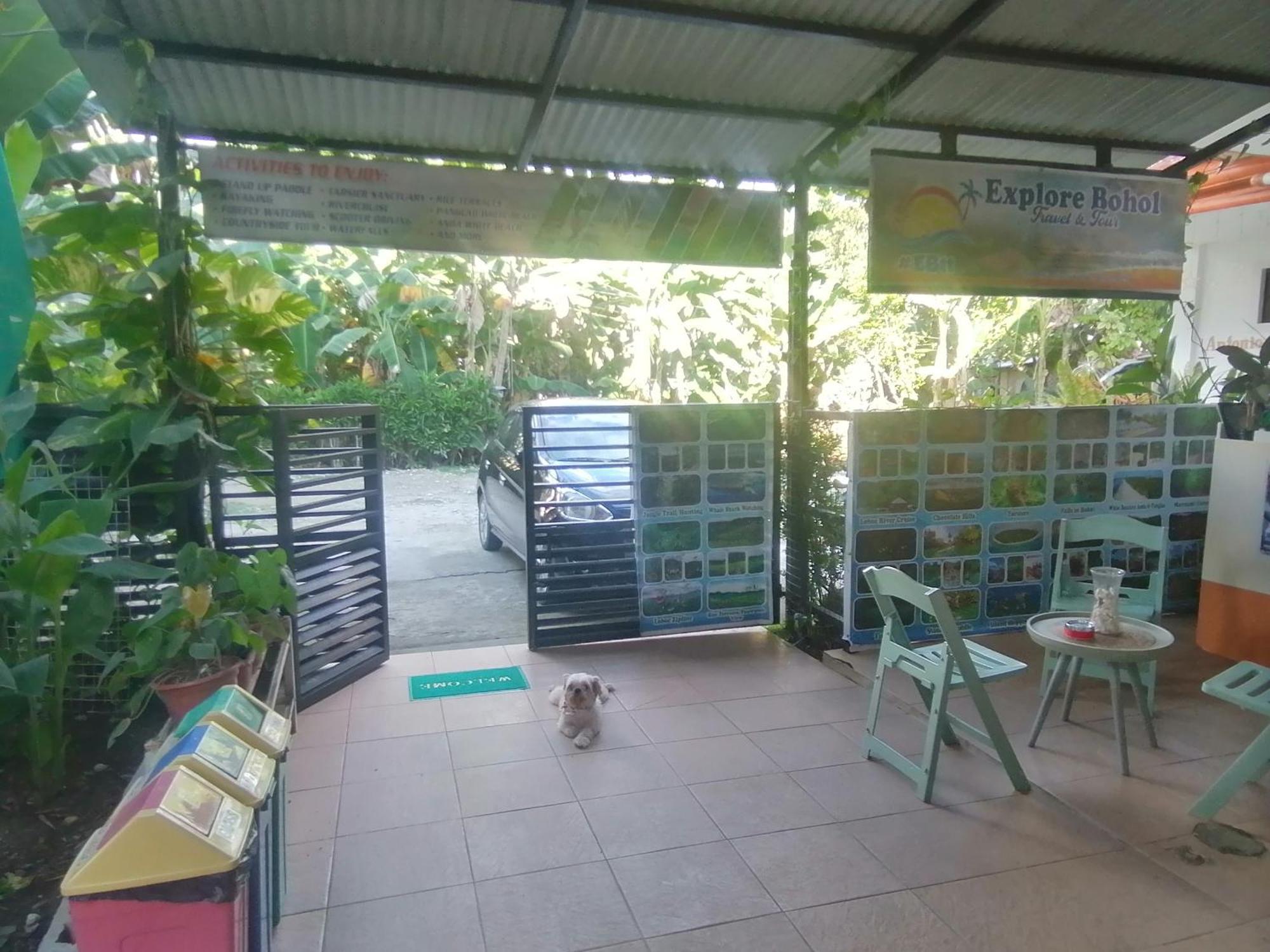 Andresas Homestay Loboc Oda fotoğraf